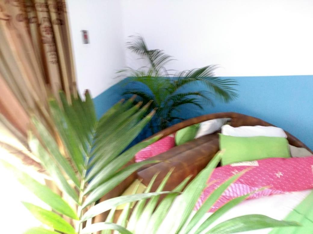 Elizz Guest House Janman المظهر الخارجي الصورة